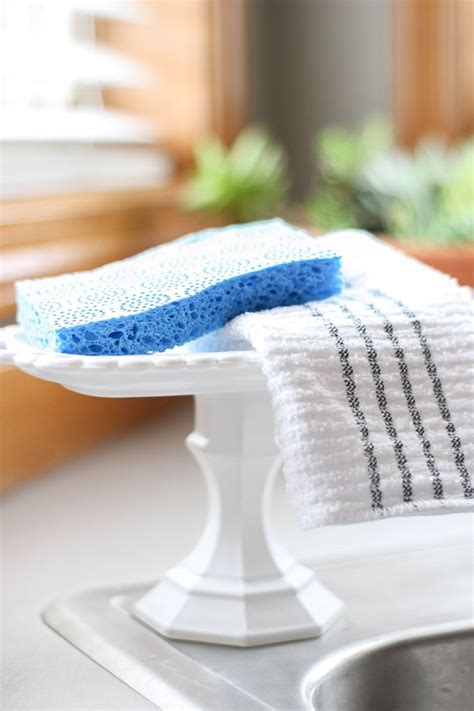 No one likes a wet and dirty sponge sitting on their counter, especially when they have diy pedestal kitchen sponge holder. DIY Pedestal Kitchen Sponge Holder | Sponge holder, Kitchen sponge holder, Diy holder
