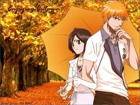 Ichigo & Rukia - Bleach ichigo and rukia Wallpaper ...