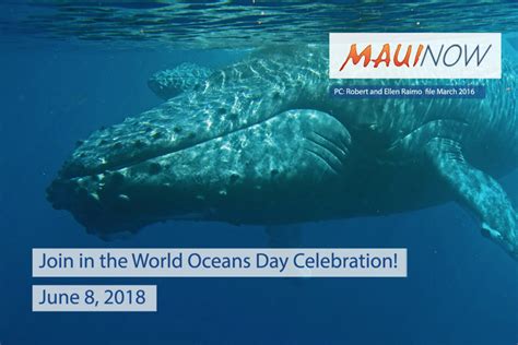 Ways To Celebrate World Oceans Day On Maui Maui Now