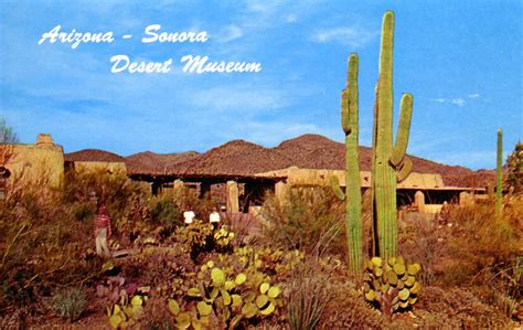 Arizona Sonora Desert Museum Tucson Az A Photo On Flickriver