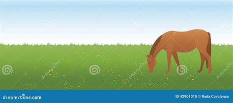 Horse On The Meadow Stock Vector Illustration Of Outdoors 42901015
