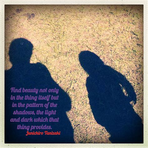 Quotes About Shadows And Light Quotesgram