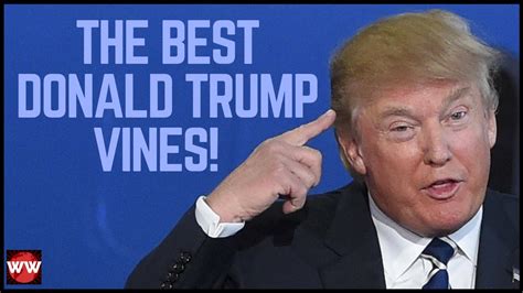 The Best Donald Trump Vines Of The 2016 Election Youtube