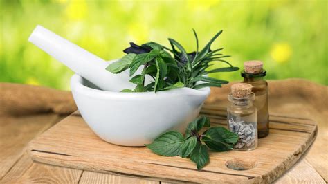 Herbalism | Introduction & Medicine Making | Home Herbalism Courses