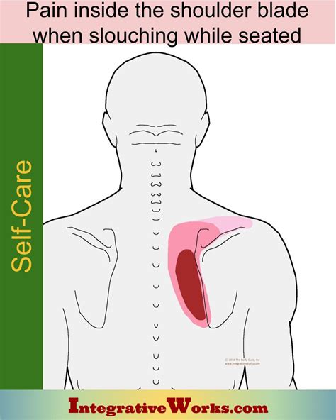 Self Care Pain Between Shoulder Blades When Slouching Integrative Works