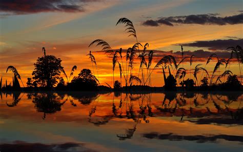 Nature Lake Water Reeds Sunset Ired Sky Reflection Photo Wallpaper Hd