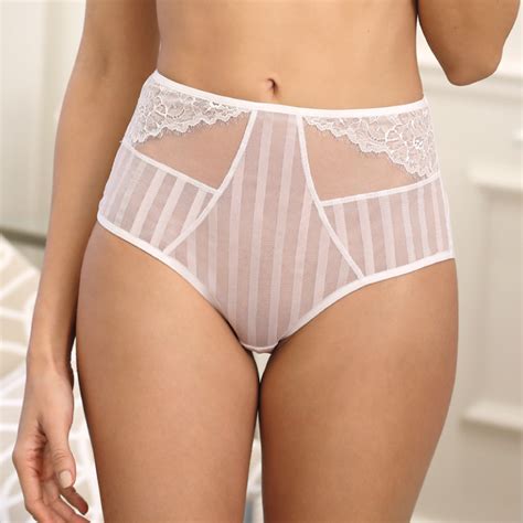 Sexy Sheer See Through Brief Panty Fast Shipping Returns Lavinia Lingerie