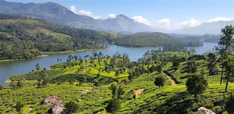The weather in thiruvalla is tropical but since it is located in the lap of nature, the weather is never extreme. Best time to visit Munnar | Blue Bird Travels