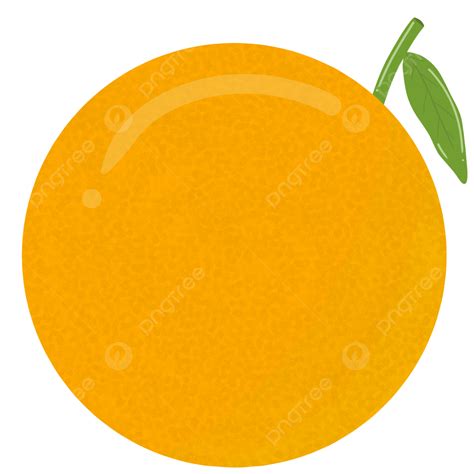 Orange Fruite Clipart Transparent Background Cute One Orange Fruit