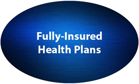 Fully Insured Health Plans The Summit Companies
