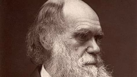 Charles Darwin Glutton Mental Floss