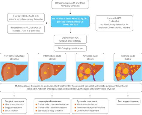 New Advances In The Diagnosis And Management Of Hepatocellular