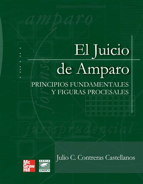 Juicio De Amparo El Principios Fundamentales Y Figuras Procesales