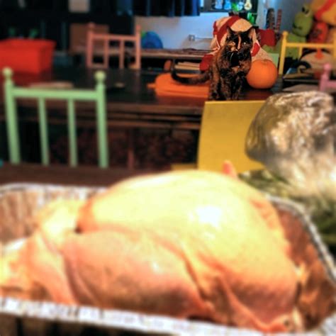 Easy Leftover Turkey Dinner Ideas Brooklyn Farm Girl