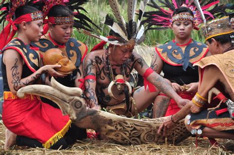 Suku Di Pulau Kalimantan Serta Penjelasannya Tambah Pinter