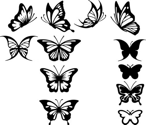 Butterfly Line Drawing Outline