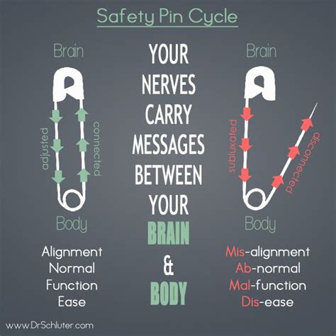 Safety Pin Cycle Get Connectedgetadjusted Chiropractic
