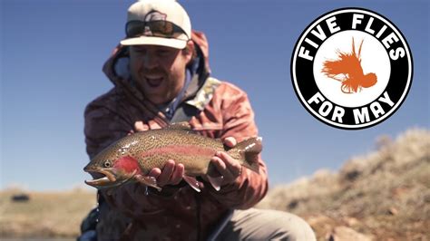 Five Flies For May 2019 Fly Fishing The Stillwaters Youtube