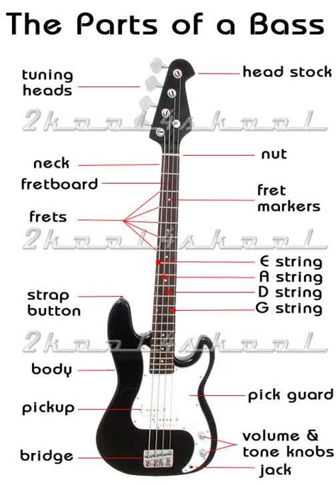 The Parts Of An Electric Bass Guitar