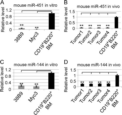 mir−144 451 expression is down regulated in murine blymphoma cells a download scientific