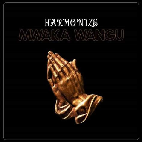 Audio Harmonize Mwaka Wangu Mp3 Download — Citimuzik