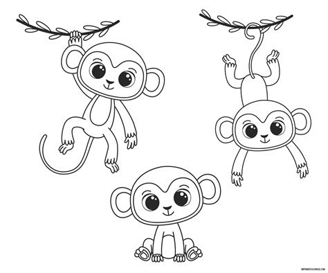 Coloriage De Singe Imprimer Coloriage