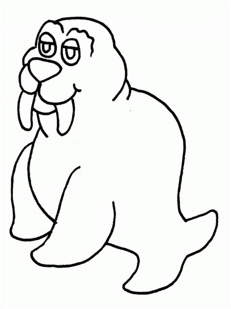 Use this lesson in your classroom, homeschooling curriculum or have the students draw a picture of just a walruses face. Free Printable Walrus Coloring Pages For Kids