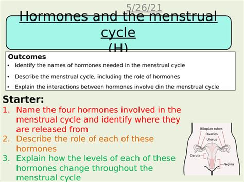 Hormones And The Menstrual Cycle Aqa Science Trilogy Biology Gcse