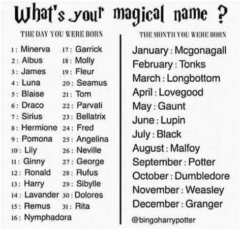 Harry Potter Characters Name Quiz Can You Name These 16 Harry Potter