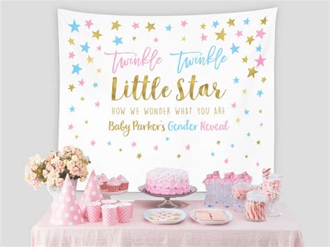 Twinkle Twinkle Little Star Gender Reveal Party Banner Blushingdrops