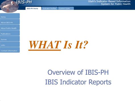 Ppt Ibis Indicators Admin System And Phom Report Powerpoint Presentation Id 4618811