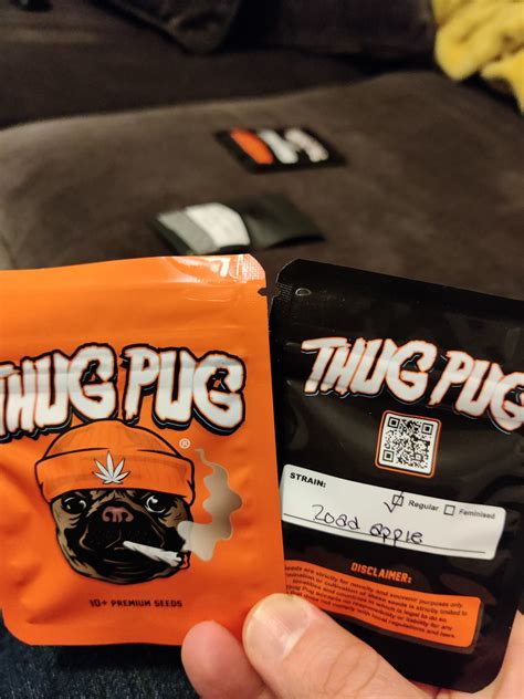 Thug Pug Road Apple Neptunes Auctions
