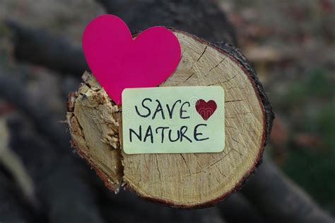 Cut Tree Branch With Sign Save Nature With A Heart Sign Stock Image