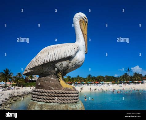 Pelican Statue Stock Photo Alamy
