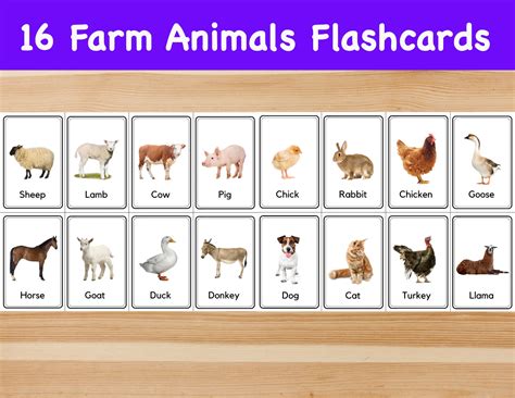 16 Farm Animals Flashcards Image Cards For Kids Etsy Ireland