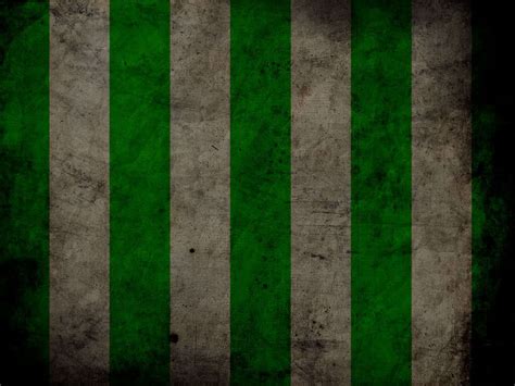 My daughter is a huge harry potter fandom and is a slytherin. Slytherin - Slytherin Wallpaper (7748757) - Fanpop