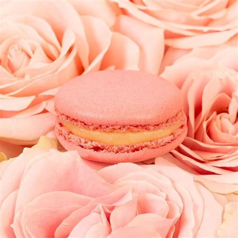 laduree paris officiel s instagram photo “💖 le macaron rose 💖 deux coques de macaron amande