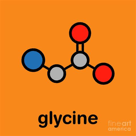 Glycine Amino Acid Molecule Photograph By Molekuulscience Photo Library Pixels