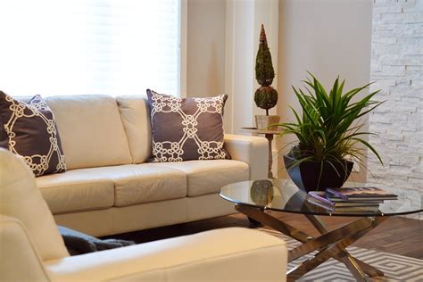 6 Ways To Spruce Up Your Living Room Prim Mart