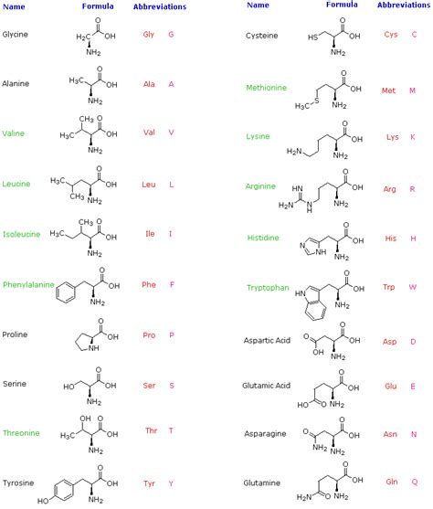 Amino Acids Chemistry LibreTexts