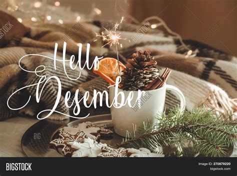 Hello December Cup Image And Photo Free Trial Bigstock