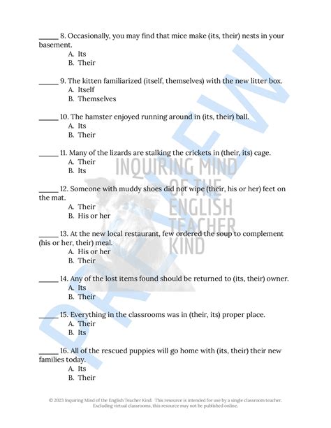 Grammar Practice Worksheet On Pronoun Antecedent Agreement Made By
