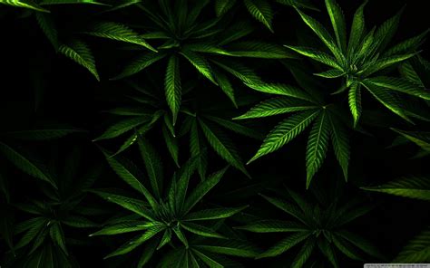 Weed Aesthetic Computer Wallpapers Wallpaper Cave