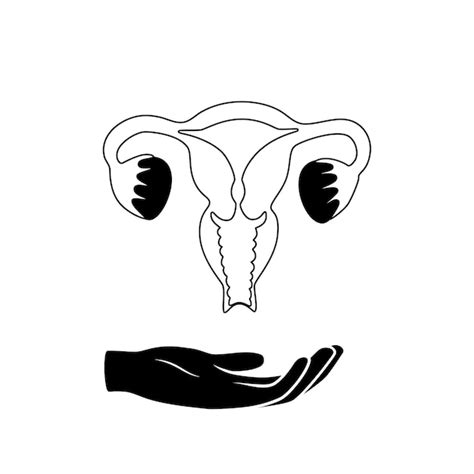 Premium Vector Vector Isolated Illustration Of Uterus