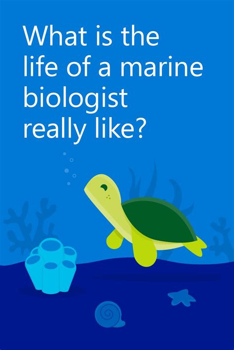 The 25 Best Marine Biology Ideas On Pinterest Marine