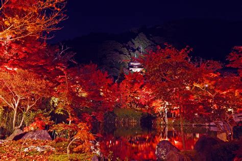Top 10 Things to Do in Japan in November – Japan Travel Guide -JW Web