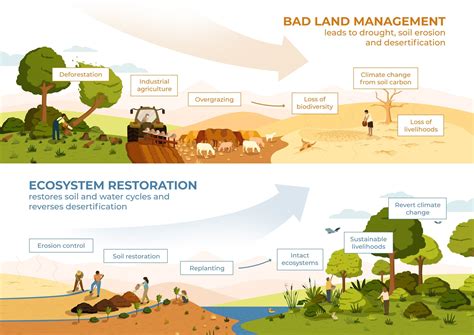 Un Decade Of Ecosystem Restoration 2021 30 Plan To Ensure