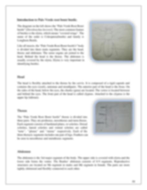 Solution External Morphology Of Insects Studypool