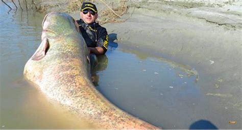 Here Are 11 Of The Biggest Fish Ever Caught