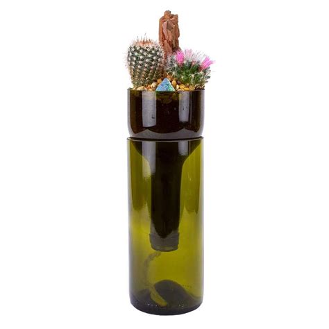 San pedro cactus has been used ceremoniously for around 3500 years by indigenous groups in peru. Deco Wine Wine Bottle Self-Watering Cactus Planter-Deco ...